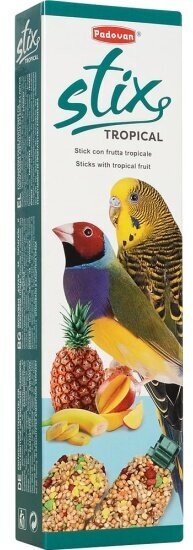 Лакомство для волнистых попугаев и экзотических птиц Padovan Stix tropical палочки с тропическими фруктами, 80 г