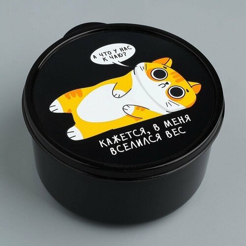 Подарки Ланч-бокс В меня вселился вес 500 мл 298₽