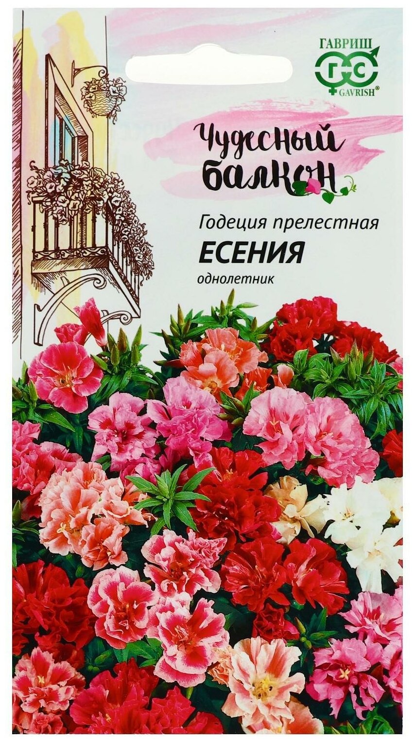 Семена Гавриш Чудесный балкон Годеция Есения низкорослая смесь 01 г