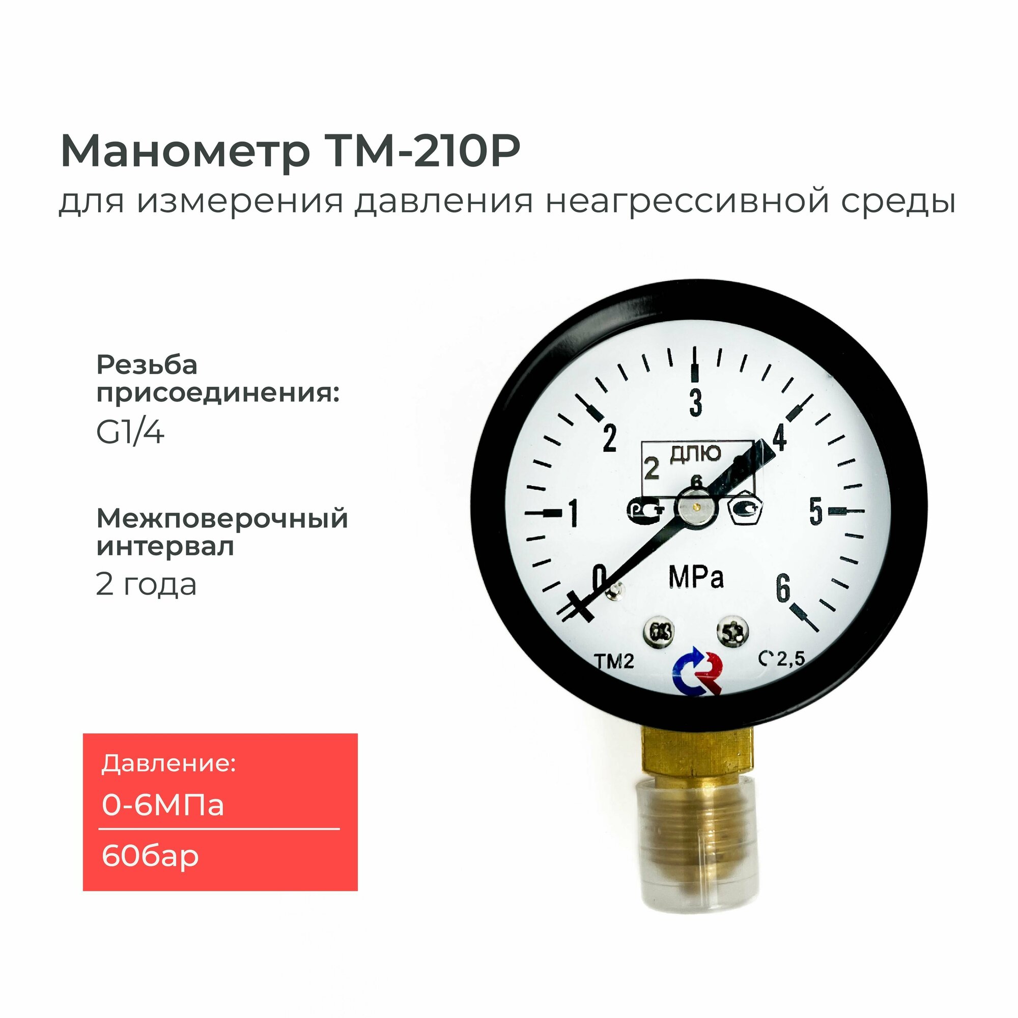 Манометр ТМ-210P.00(0-6 MРа)G1/4 класс точности 25 диаметр 50 мм.