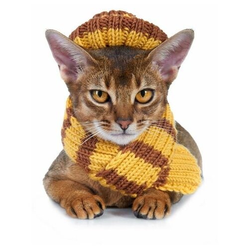фото Постер на холсте кот в шарфе и шапке 40см. x 53см. твой постер