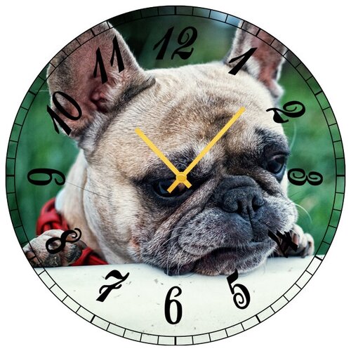 фото Svs настенные часы svs 4001871 собакен