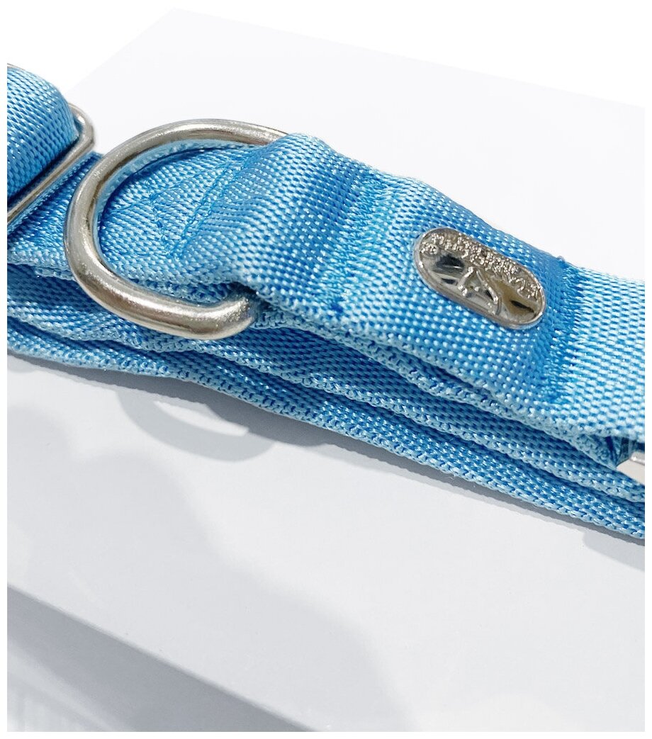 Воздушный ошейник Japan Premium Pet для активных и серьёзных собак, размер S (цвет: голубой) - фотография № 5