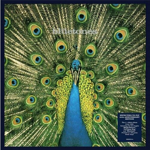 Виниловая пластинка Demon Bluetones Expecting To Fly 6293₽