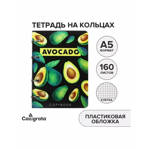 Тетрадь на кольцах в клетку 160 листов пластиковая обложка 648₽