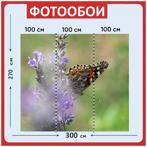 Фотообои Нарисованная дама лаванда фиолетовый 300x270 см флизелиновыена стену 3970₽