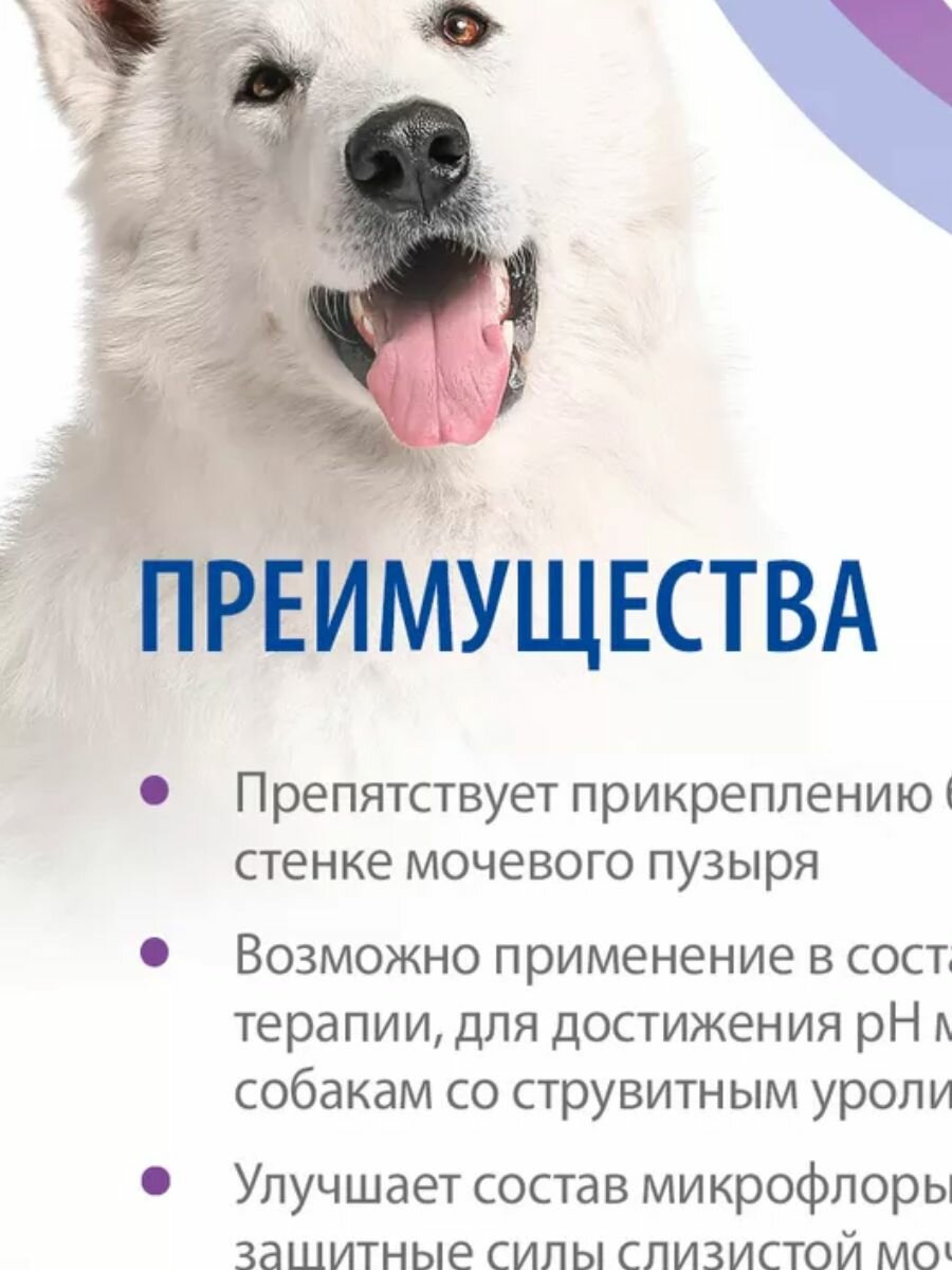 Милоджик УРО с Д-маннозой + клюква, 2 уп. 60 таб. — фото 1