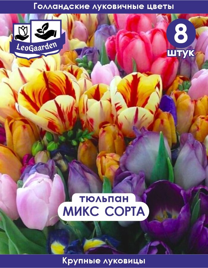 Тюльпан Луковица Микс сортов 8 шт (LeoGaarden)