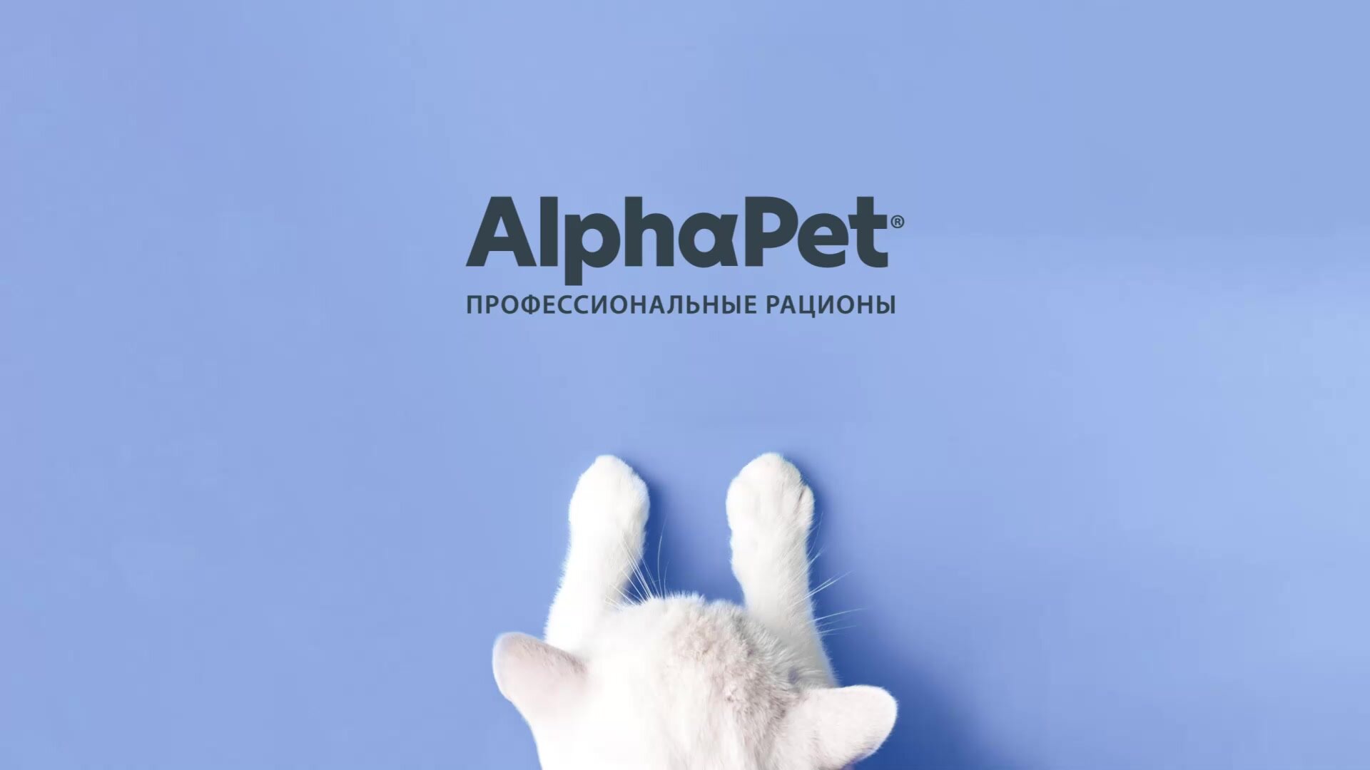 Корм AlphaPet для котят, беременных и кормящих кошек, с цыпленком 1500 г — фото 1