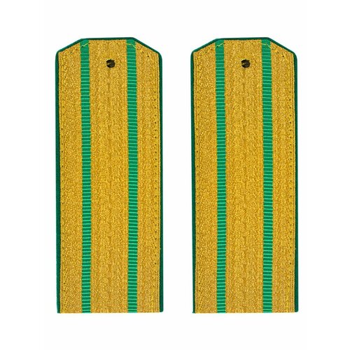 Погоны ПС ФСБ парадные золотые два просвета Кляммеры в комплекте Картон 14х5,5см 752113