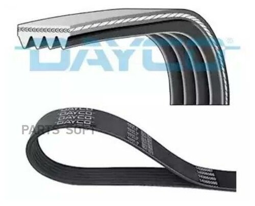 Ремень Ручейковый Dayco Dayco арт. 4PK885