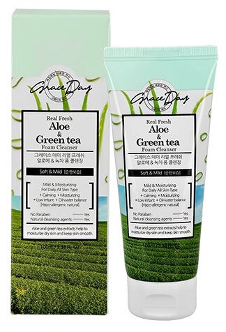 GRACE DAY Пенка для умывания с экстрактом алоэ вера и зеленого чая 100 мл / Real fresh Aloe & Green tea foam cleanse