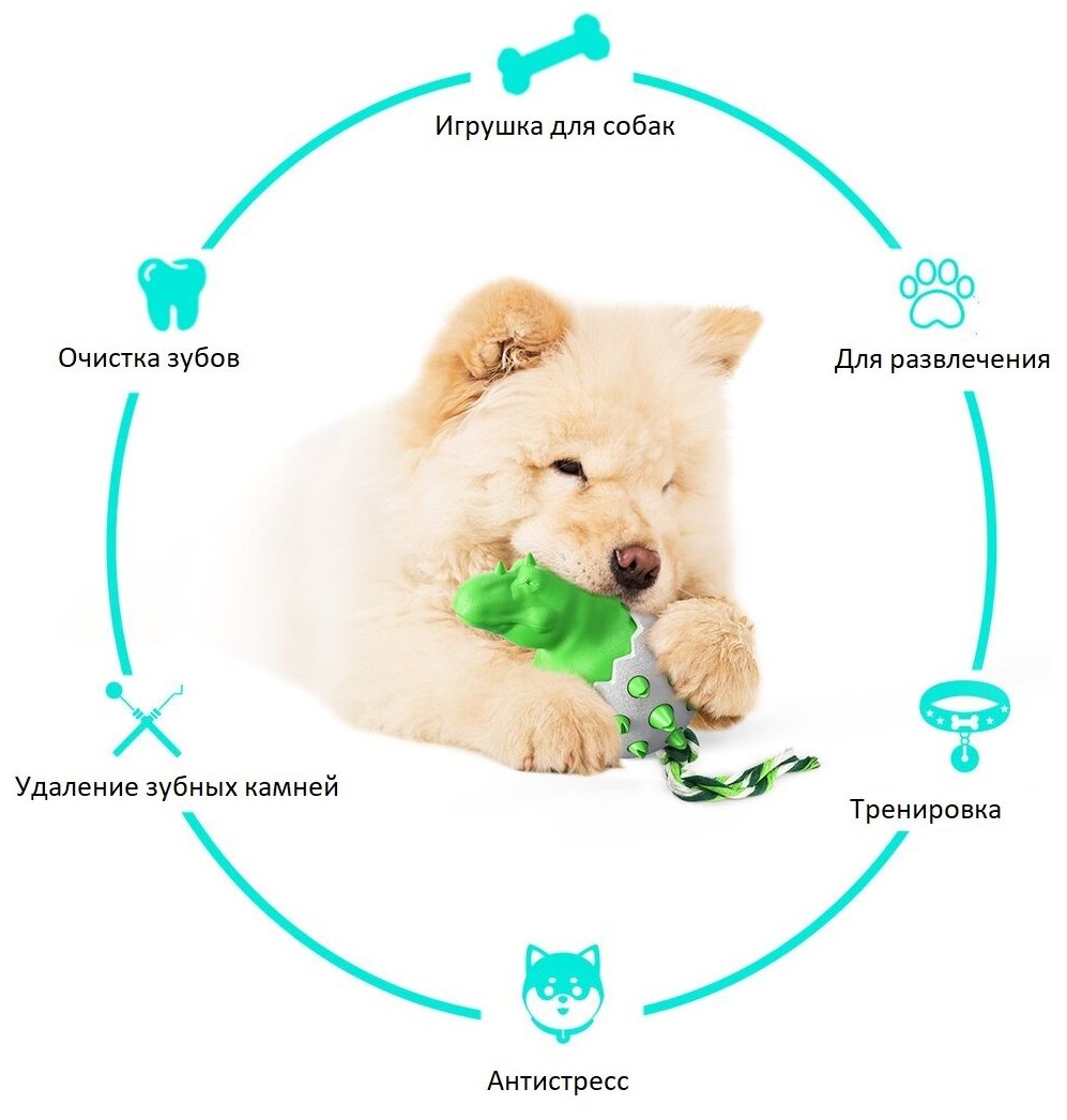 Игрушка для собак щенков интерактивная жевательная чистка зубов массаж 12.9 см. - фотография № 2