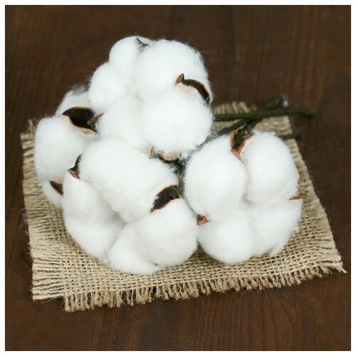 Букет из 4 веточек хлопок d-5см 8см В упаковке 3 2570₽