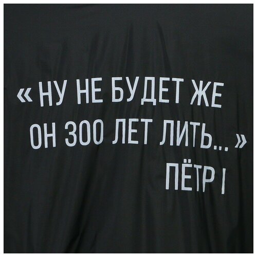 фото Дождевик-пончо "ну не будет же он 300 лет лить", цвет чёрный сима-ленд