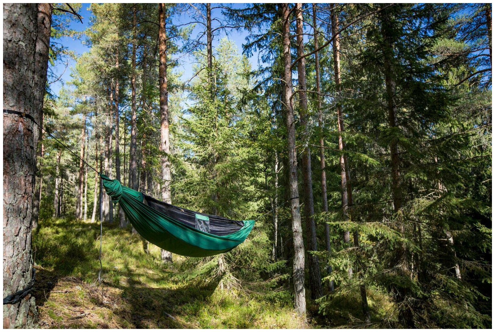 Гамак с москитной сеткой Ticket to the Moon Pro Hammock (Гамаки) - фотография № 6