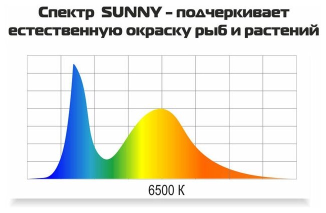 Аквариум фигурный AquaPlus 46л, 500х300х410мм, со светильником STD LED Sunny 8Вт, груша - фотография № 3