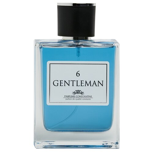 Мужская туалетная вода Parfums Constantine Gentleman №6 100 мл