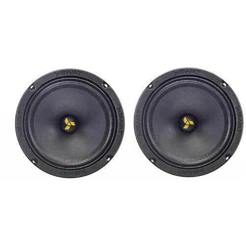 Колонки среднечастотные SWAT MAS-65Pro 6 16см 75Вт 323000₽