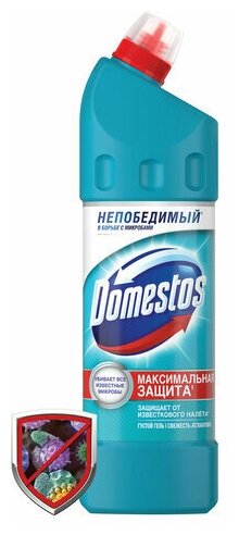 Чистящее средство DOMESTOS Свежесть Атлантики 600580