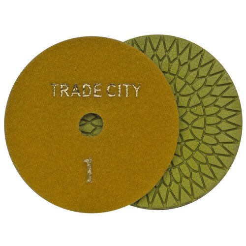 Алмазный гибкий шлифовальный круг TRADECITY Цветочек Pads 4-STEP 100D №1