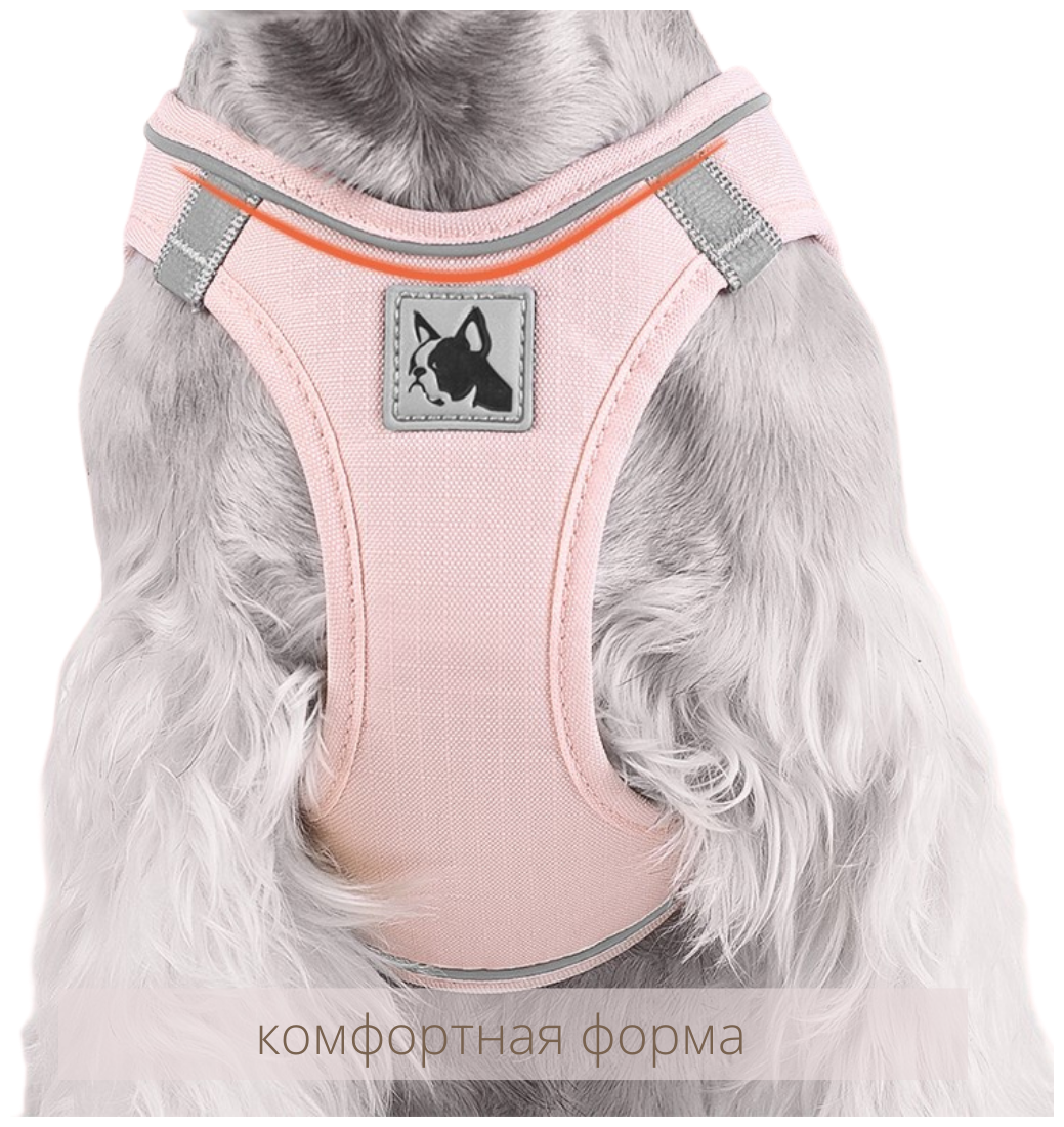 Шлейка для кошек и собак SPORTY анатомическая, светоотражающая, р-р XS (ОГ 28-36 см), цвет зелёный авокадо - фотография № 7