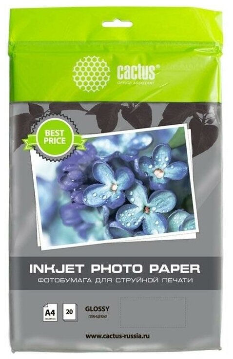 Фотобумага Cactus CS-GA413020ED A4/130г/м2/20л./белый глянцевое для струйной печати