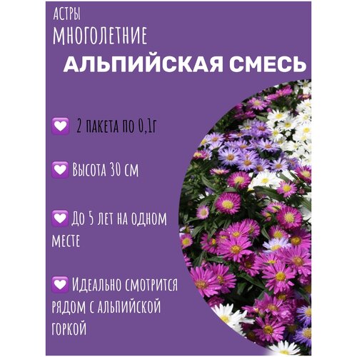 Цветы Астра многолетняя Альпийская смесь 2 пакета по 0,1г семян цветы астра русский огород многолетняя альпийская смесь