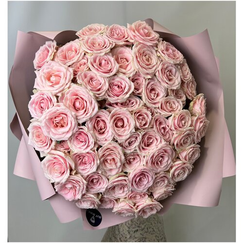 Букет из 75 нежно розовых роз свит аваланж в упаковке 60см