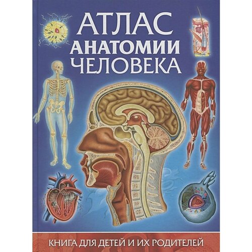 Атлас анатомии человека 490₽