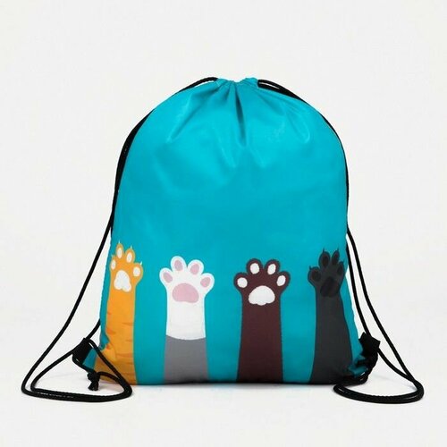 Мешок для обуви на шнурке цвет бирюзовый 635₽