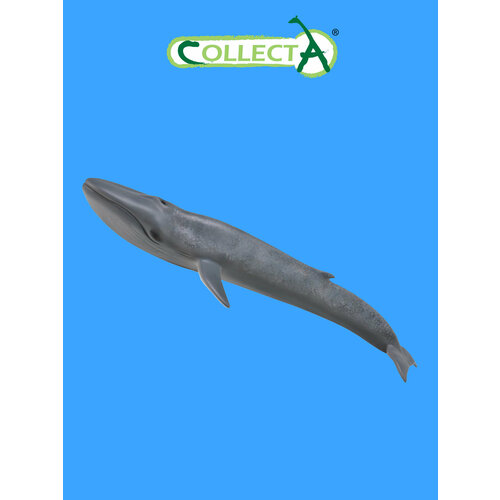 Фигурка морского животного Collecta, Голубой кит фигурка морского животного collecta дельфин