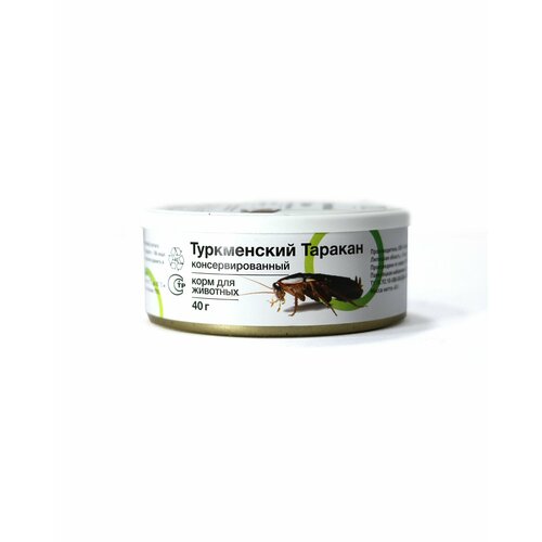 Консервированный Туркменский таракан Onto, 40 г