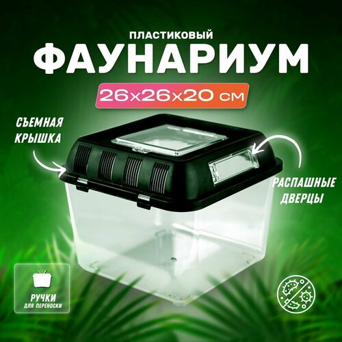 Террариум-фаунариум PetPetZone для рептилий, амфибий, змей, 260х260х200 мм