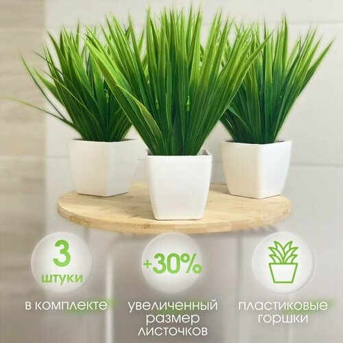 Осока Премиум 3 шт