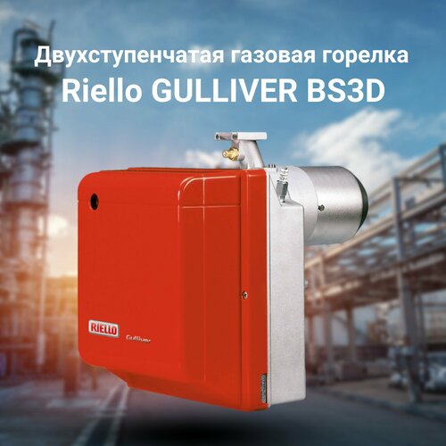 Двухступенчатая газовая горелка Riello GULLIVER BS3D арт.20198368, 3761716