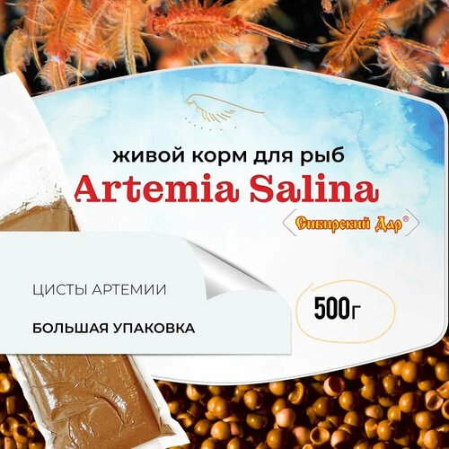 Живой корм для рыб Сибирский дар - Artemia Salina, 500 г (650 мл) - яйца артемии (цисты) для мальков, кораллов, ракообразных.