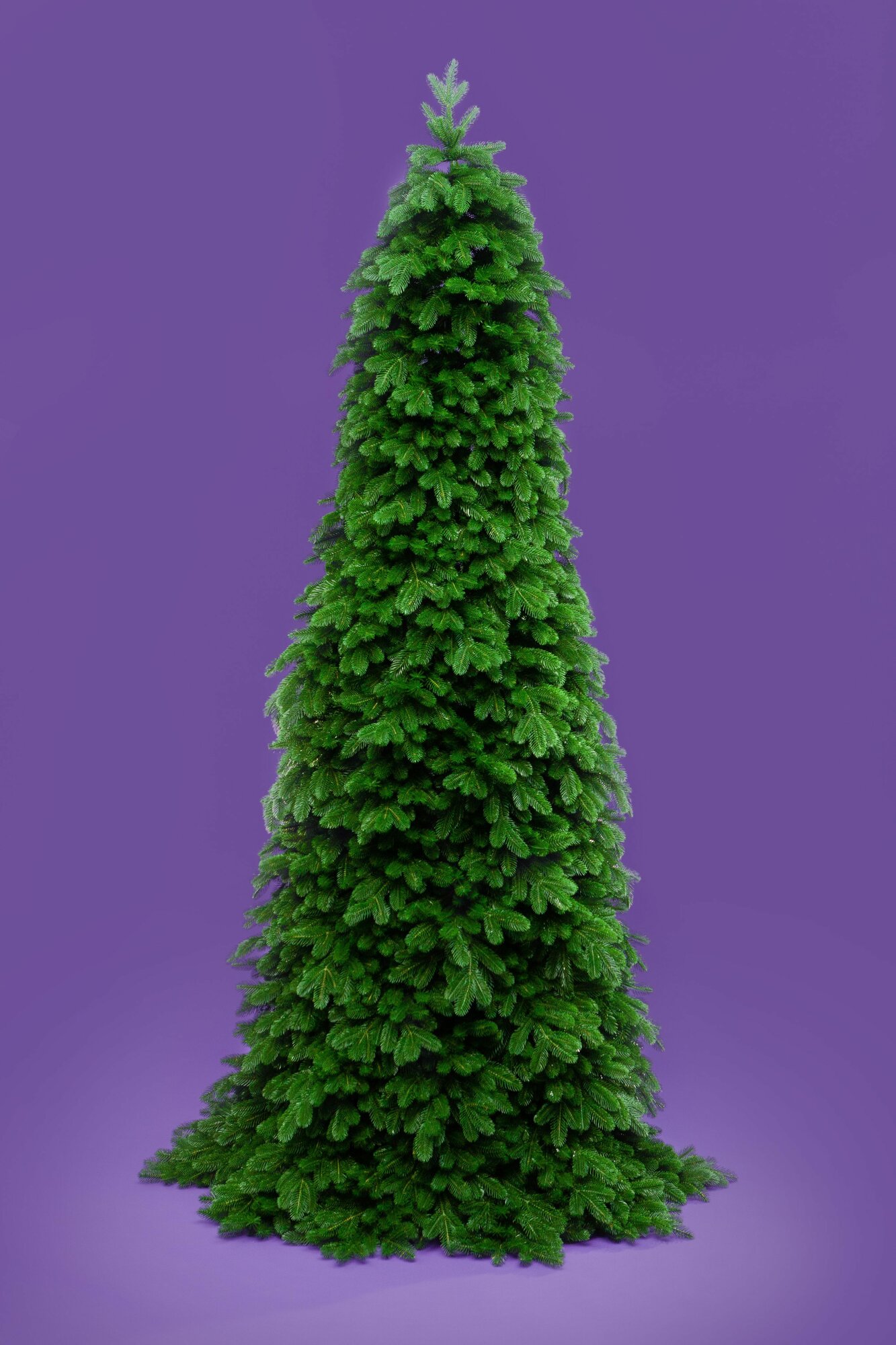 Crystal Trees - фото №2