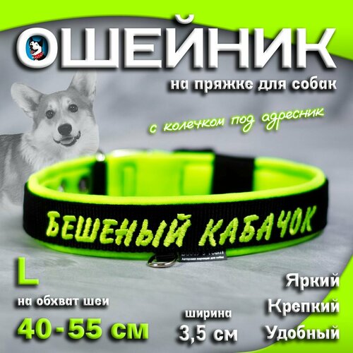 Ошейник для собак Buddy team на пряжке, с вышивкой бешеный кабачок, ширина 3,5 см, с мягким подкладом для средних и крупных пород, размер L