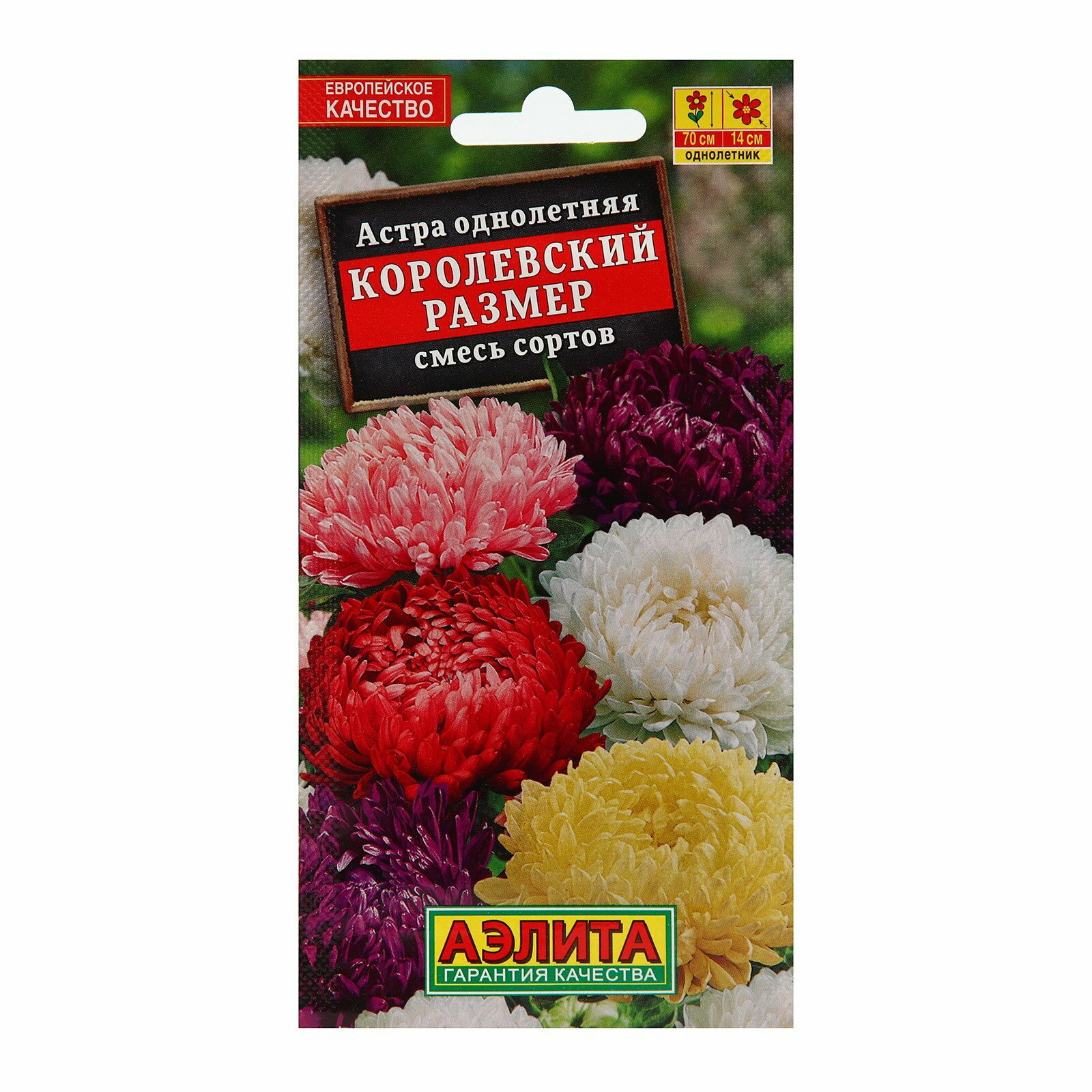 Семена цветов Астра 