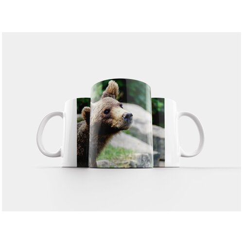 фото Кружка "бурый медведь, детеныш, нести" 320 мл lotsprints