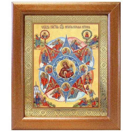 Икона Божией Матери Неопалимая Купина, широкая рамка 19*22,5 см