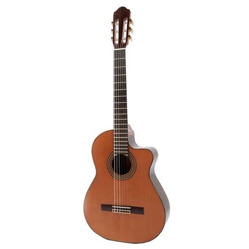 Электрифицированная гитара Raimundo 633E Cedar R633CE