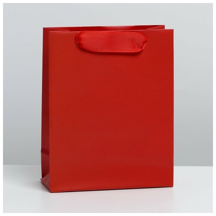 Пакет ламинированный «Красный» S 12 × 15 × 55 см