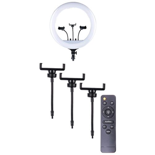 BandRate Smart BRSRL18B 930000₽