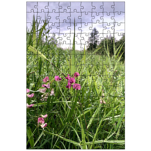 фото Магнитный пазл 27x18см."час земли, цветок, трава" на холодильник lotsprints
