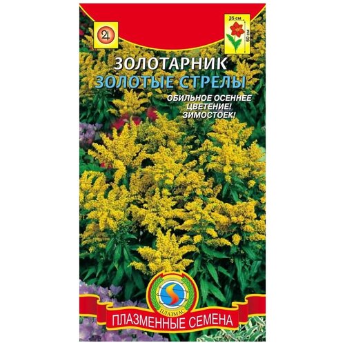Золотарник Золотые стрелы