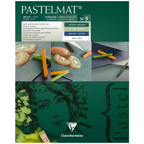 Альбом для пастели Clairefontaine Pastelmat  30 х 24 см (24x30 см), 360 г/м², 12 л. ассорти