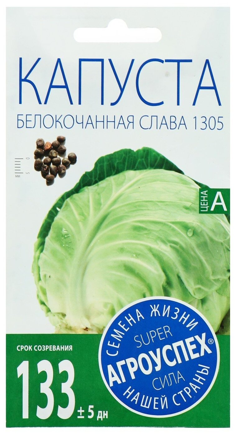 Семена Капуста белокочанная "Слава 1305" средняя 05 г