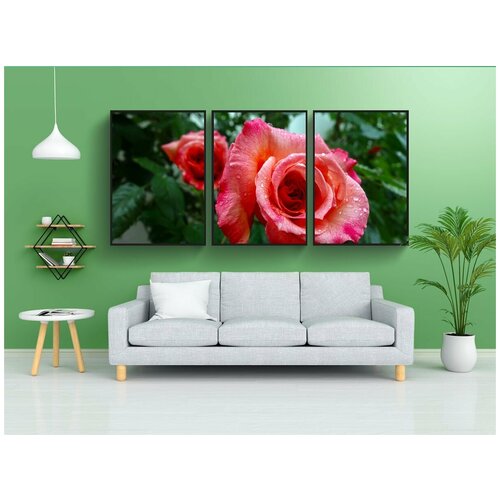 фото Набор модулных постеров для интерьера "роза, цветок, цвести" 60x90 см. в тубусе, без рамки lotsprints